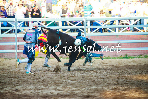 CoomaRodeo2016_2308