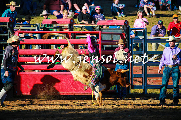 CoomaRodeo2016_1717