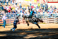 CoomaRodeo2016_1580