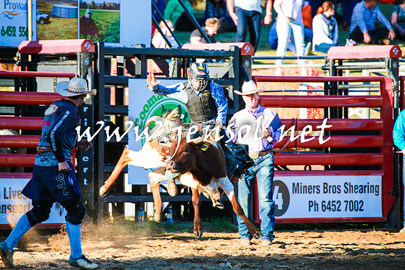 CoomaRodeo2016_1760