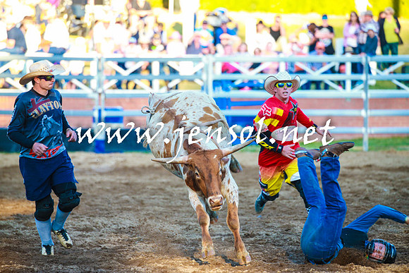 CoomaRodeo2016_2287
