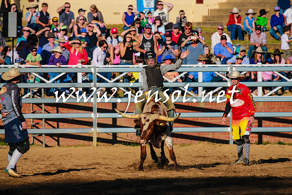 CoomaRodeo2016_1552