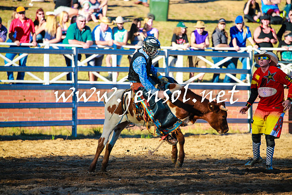 CoomaRodeo2016_1769