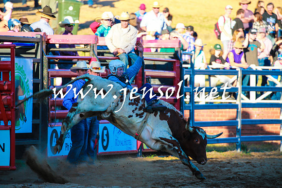 CoomaRodeo2016_2256