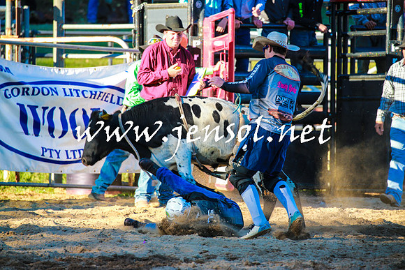 CoomaRodeo2016_1800