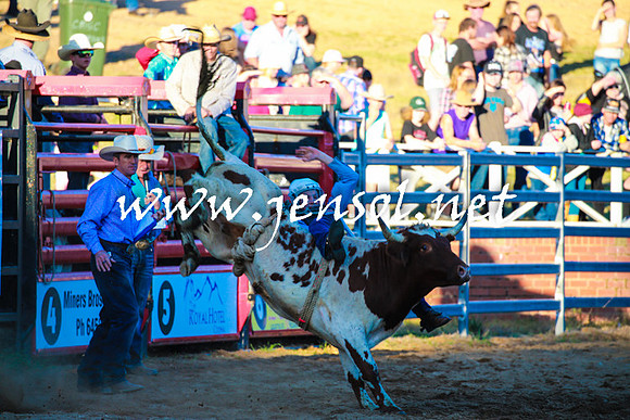 CoomaRodeo2016_2257