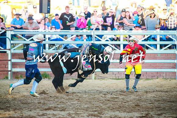 CoomaRodeo2016_2295