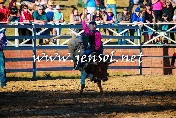 CoomaRodeo2016_1731