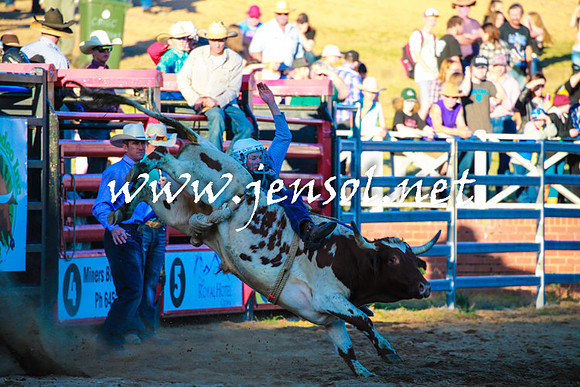 CoomaRodeo2016_2255