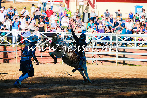 CoomaRodeo2016_1618