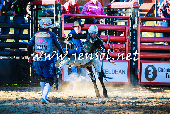 CoomaRodeo2016_1811