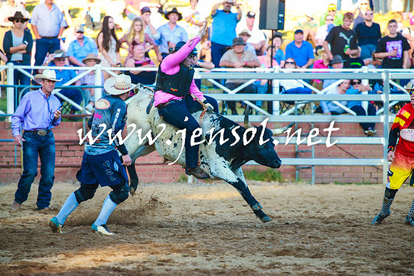 CoomaRodeo2016_2332
