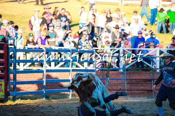 CoomaRodeo2016_2262