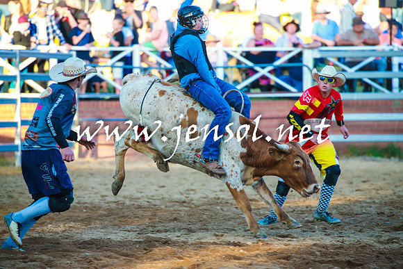 CoomaRodeo2016_2265