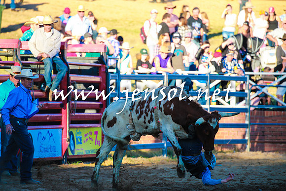 CoomaRodeo2016_2248