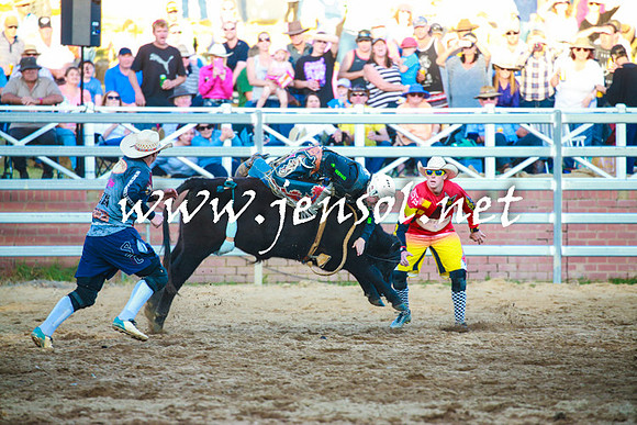 CoomaRodeo2016_2293