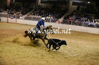 RDAug2013_1191