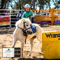 HardenRodeo_1060
