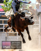 BungendoreRodeo2018-3952