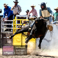 BungendoreRodeo2018-3872