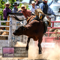 BungendoreRodeo2018-3974