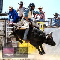 BungendoreRodeo2018-3864