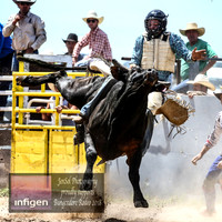BungendoreRodeo2018-3873