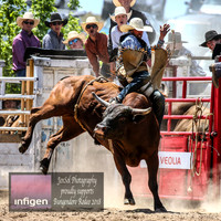BungendoreRodeo2018-3965