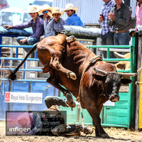 BungendoreRodeo2018-3998