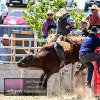 BungendoreRodeo2018-3906
