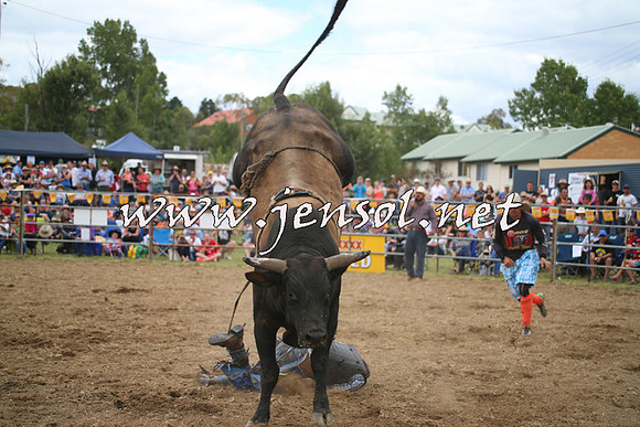 JindabyneRodeo2014_0603