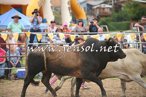JindabyneRodeo2014_0252