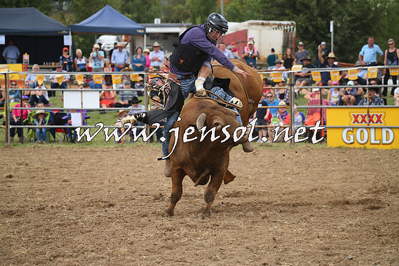 JindabyneRodeo2014_0110