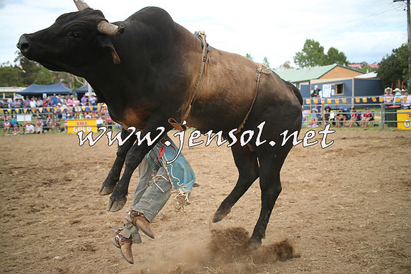 JindabyneRodeo2014_0230
