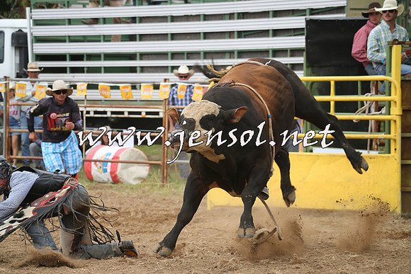 JindabyneRodeo2014_0219