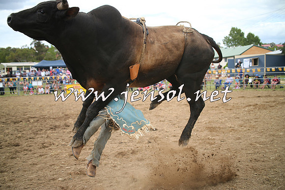 JindabyneRodeo2014_0232