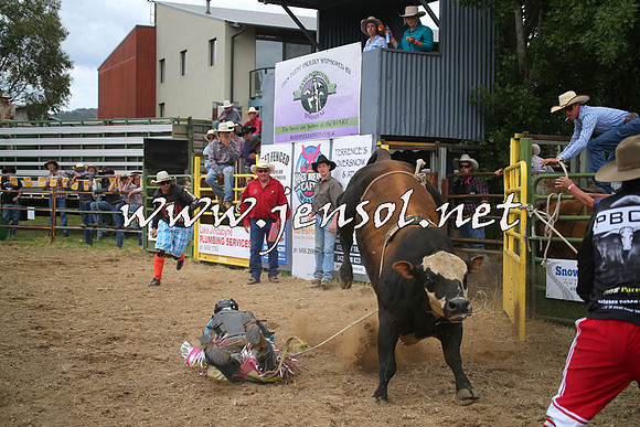 JindabyneRodeo2014_0531