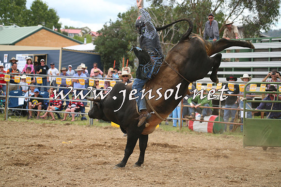 JindabyneRodeo2014_0584