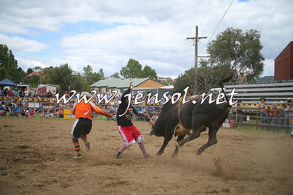 JindabyneRodeo2014_0652