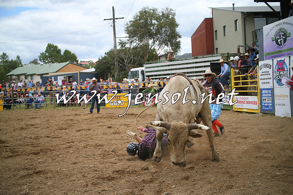 JindabyneRodeo2014_0673