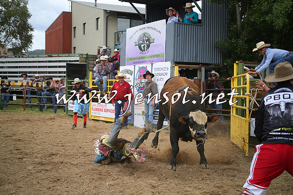 JindabyneRodeo2014_0532