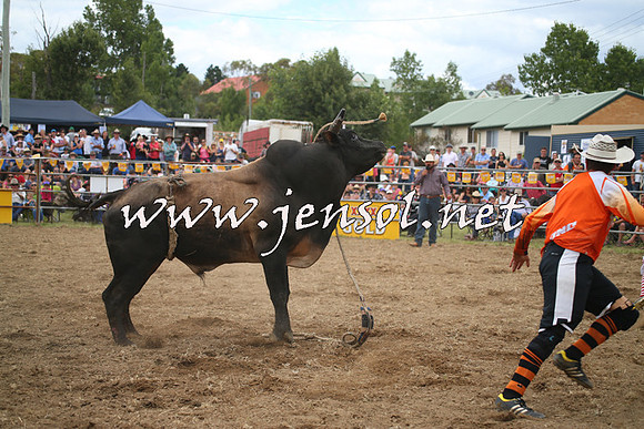 JindabyneRodeo2014_0615
