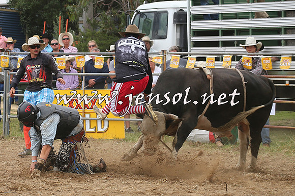 JindabyneRodeo2014_0569