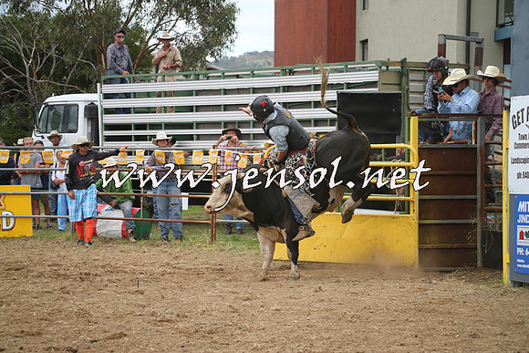 JindabyneRodeo2014_0561