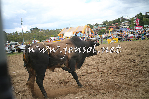 JindabyneRodeo2014_0248