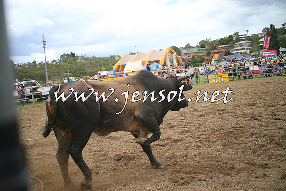 JindabyneRodeo2014_0247