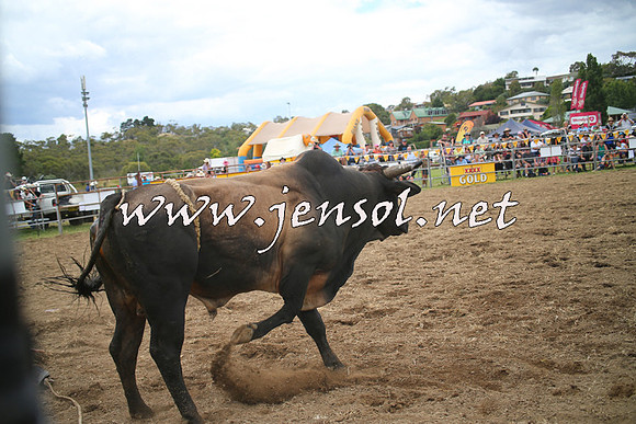 JindabyneRodeo2014_0249