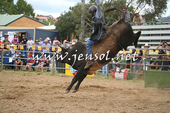 JindabyneRodeo2014_0585