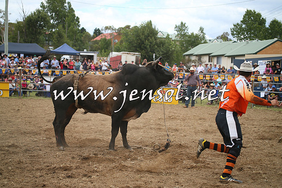 JindabyneRodeo2014_0616