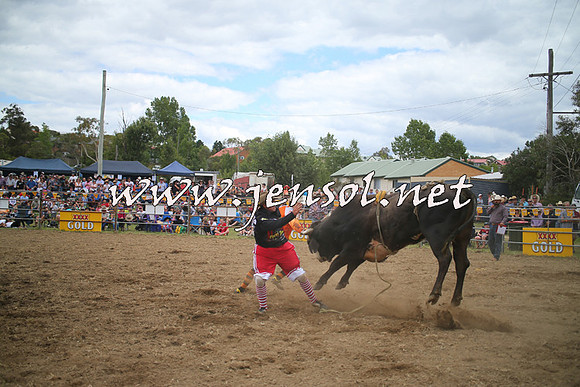 JindabyneRodeo2014_0664